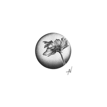 Load image into Gallery viewer, The Contrast