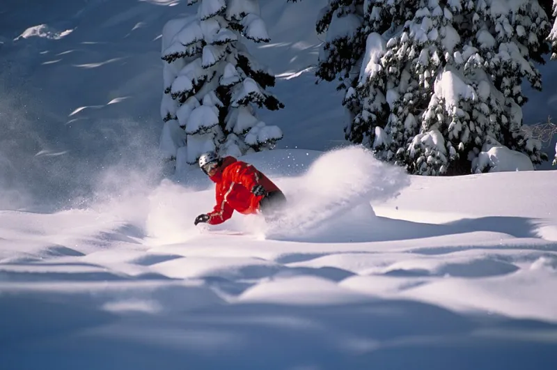 What the Mountain Is Telling You: A Rider's Guide to Decoding Snow in Real Time
